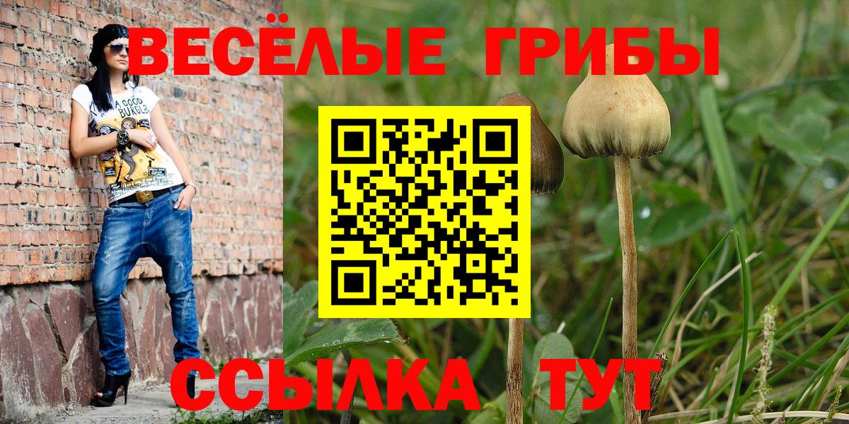Галлюциногенные грибы GOLDEN TEACHER Кингисепп